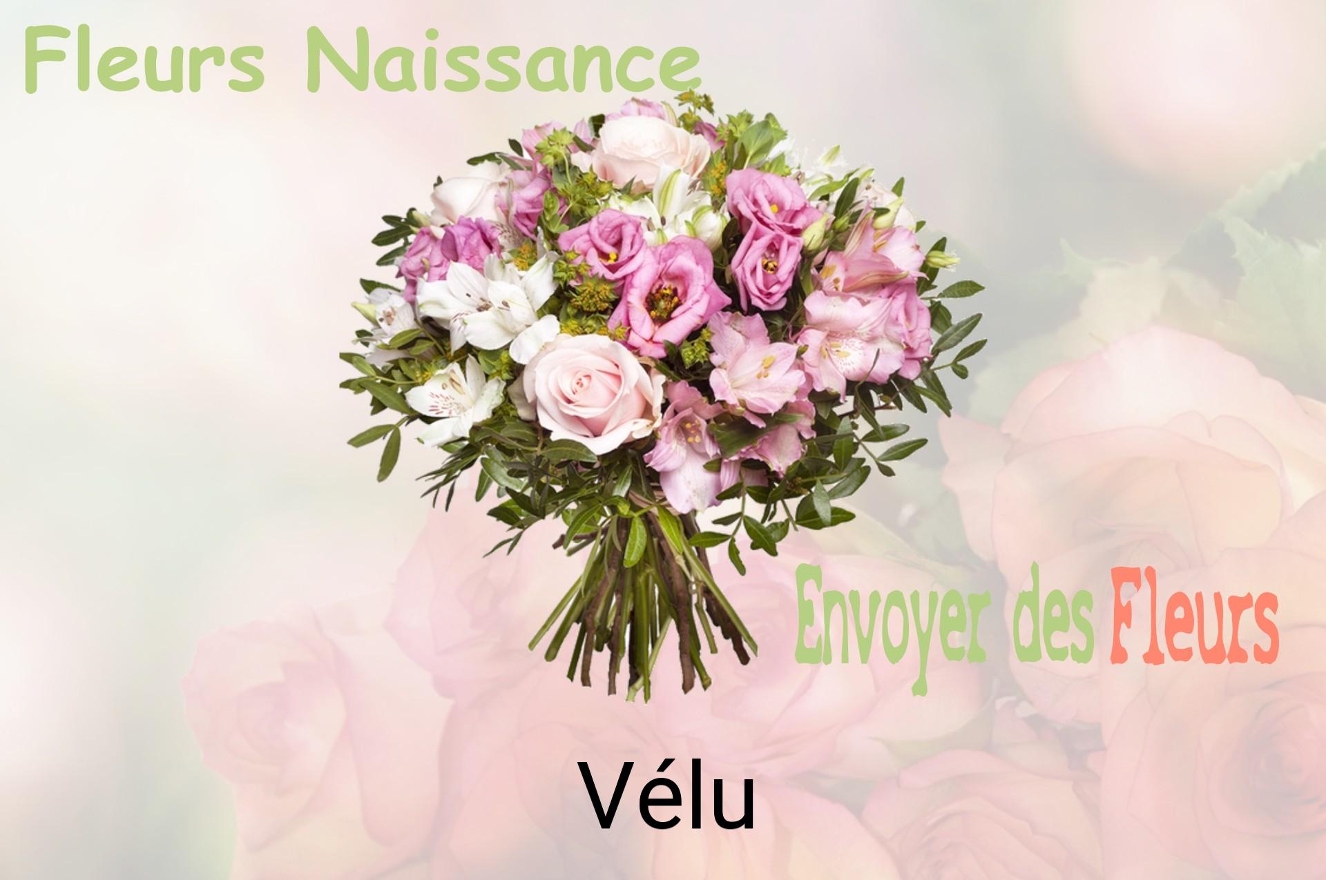 Bouquet de fleurs de naissance livré à Vélu