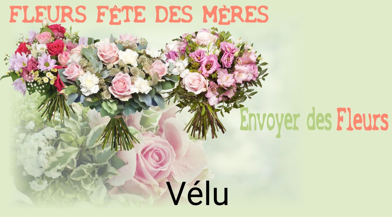 Bouquet de Fête des Mères livré à Vélu